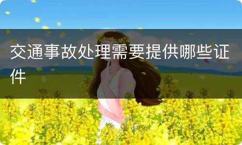 交通事故处理需要提供哪些证件