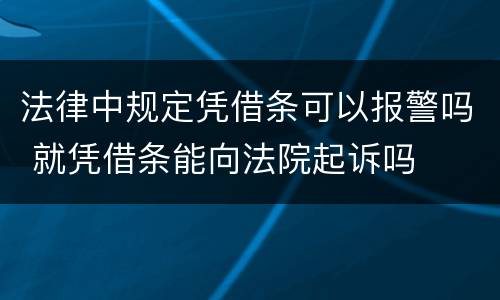 法律中规定凭借条可以报警吗 就凭借条能向法院起诉吗
