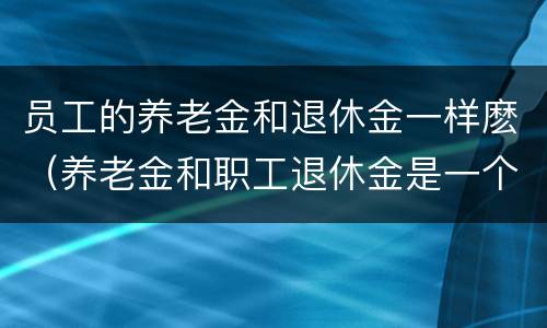 员工的养老金和退休金一样麽（养老金和职工退休金是一个概念吗?）