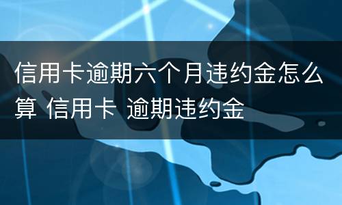 信用卡逾期六个月违约金怎么算 信用卡 逾期违约金