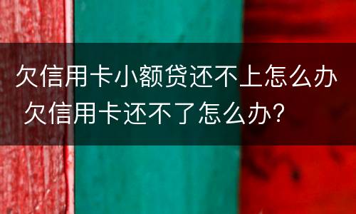 欠信用卡小额贷还不上怎么办 欠信用卡还不了怎么办?