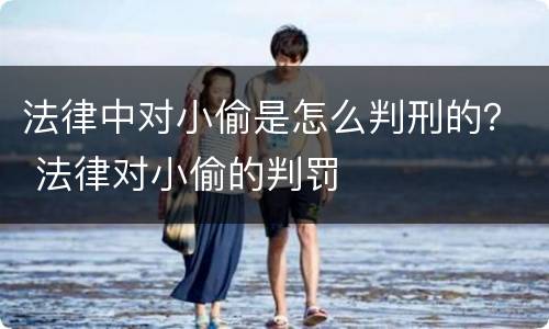 法律中对小偷是怎么判刑的？ 法律对小偷的判罚