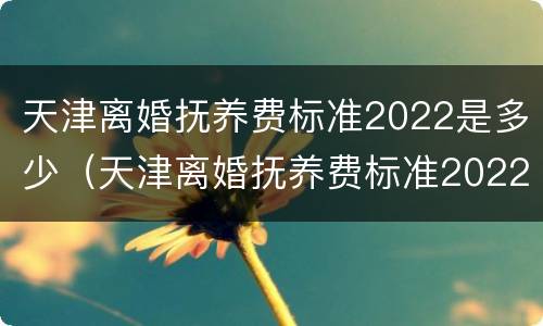 天津离婚抚养费标准2022是多少（天津离婚抚养费标准2022是多少呢）