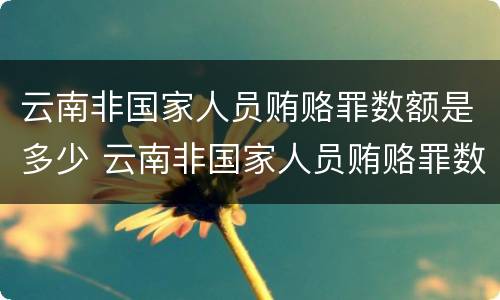 云南非国家人员贿赂罪数额是多少 云南非国家人员贿赂罪数额是多少万
