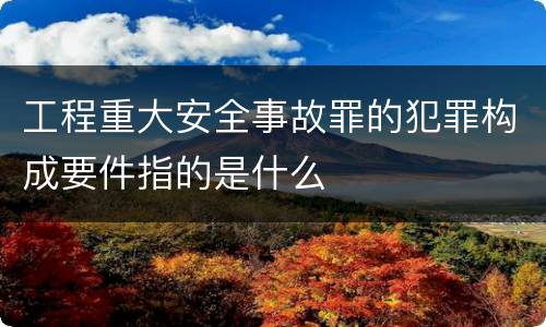 工程重大安全事故罪的犯罪构成要件指的是什么