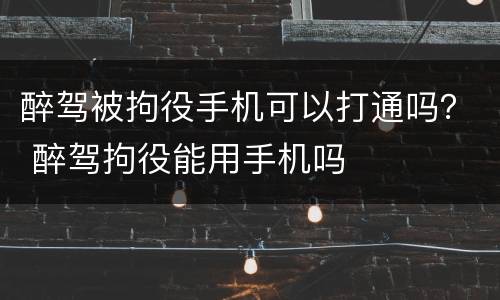 醉驾被拘役手机可以打通吗？ 醉驾拘役能用手机吗