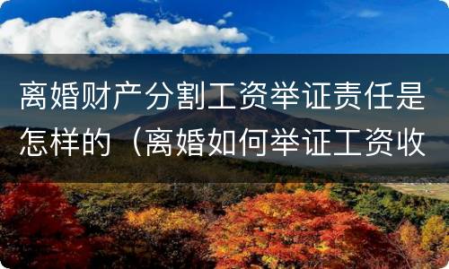 离婚财产分割工资举证责任是怎样的（离婚如何举证工资收入）
