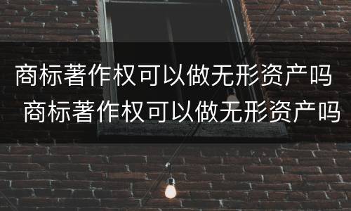 商标著作权可以做无形资产吗 商标著作权可以做无形资产吗为什么