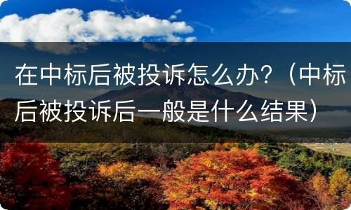 在中标后被投诉怎么办?（中标后被投诉后一般是什么结果）