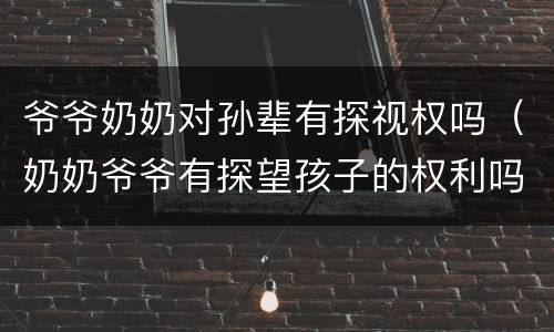 爷爷奶奶对孙辈有探视权吗（奶奶爷爷有探望孩子的权利吗）