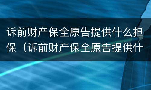 诉前财产保全原告提供什么担保（诉前财产保全原告提供什么担保证据）