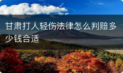 甘肃打人轻伤法律怎么判赔多少钱合适
