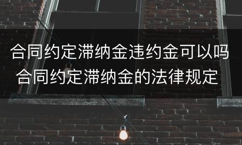 合同约定滞纳金违约金可以吗 合同约定滞纳金的法律规定