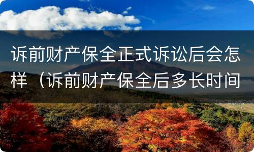 诉前财产保全正式诉讼后会怎样（诉前财产保全后多长时间起诉）