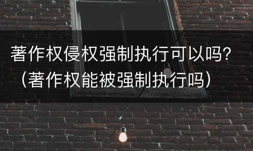 著作权侵权强制执行可以吗？（著作权能被强制执行吗）