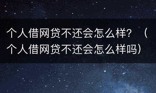 个人借网贷不还会怎么样？（个人借网贷不还会怎么样吗）