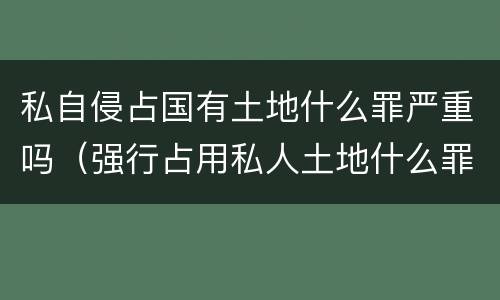 私自侵占国有土地什么罪严重吗（强行占用私人土地什么罪）