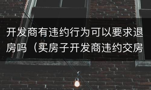 开发商有违约行为可以要求退房吗（买房子开发商违约交房能要求退房吗）