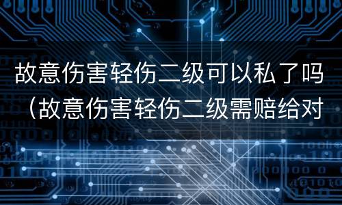 故意伤害轻伤二级可以私了吗（故意伤害轻伤二级需赔给对方多少钱私了）