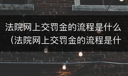 法院网上交罚金的流程是什么（法院网上交罚金的流程是什么意思）