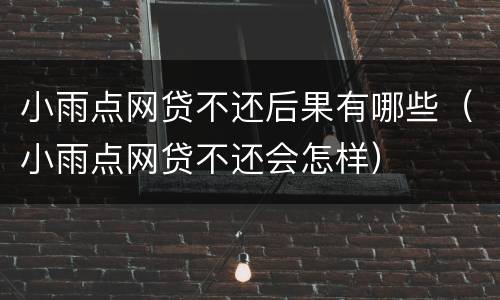 小雨点网贷不还后果有哪些（小雨点网贷不还会怎样）