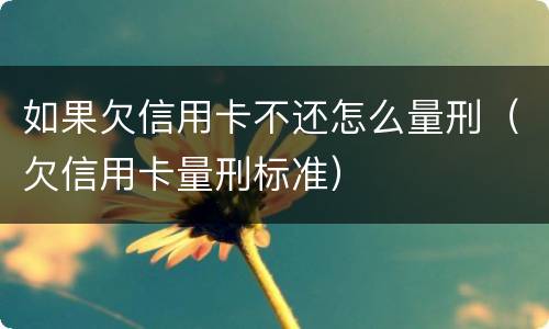 如果欠信用卡不还怎么量刑（欠信用卡量刑标准）