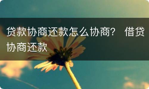 贷款协商还款怎么协商？ 借贷协商还款