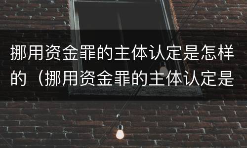 挪用资金罪的主体认定是怎样的（挪用资金罪的主体认定是怎样的）