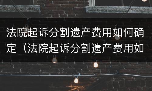 法院起诉分割遗产费用如何确定（法院起诉分割遗产费用如何确定的）