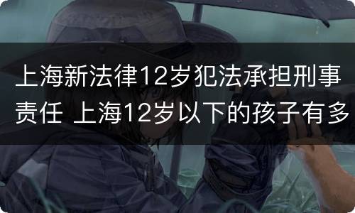 上海新法律12岁犯法承担刑事责任 上海12岁以下的孩子有多少