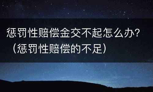 惩罚性赔偿金交不起怎么办？（惩罚性赔偿的不足）