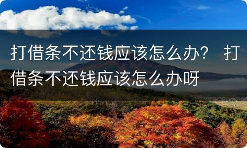 打借条不还钱应该怎么办？ 打借条不还钱应该怎么办呀