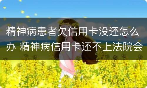 精神病患者欠信用卡没还怎么办 精神病信用卡还不上法院会怎么判