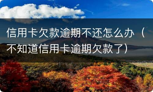 信用卡欠款逾期不还怎么办（不知道信用卡逾期欠款了）