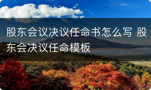 股东会议决议任命书怎么写 股东会决议任命模板