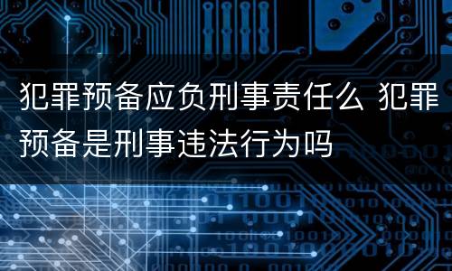 犯罪预备应负刑事责任么 犯罪预备是刑事违法行为吗