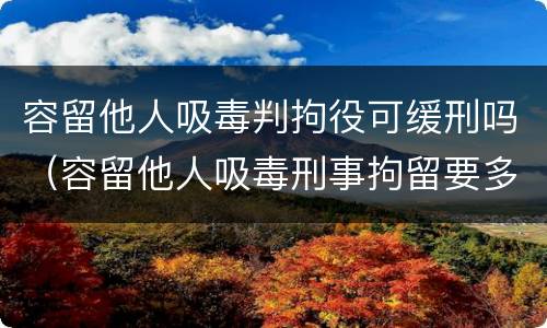 容留他人吸毒判拘役可缓刑吗（容留他人吸毒刑事拘留要多久）