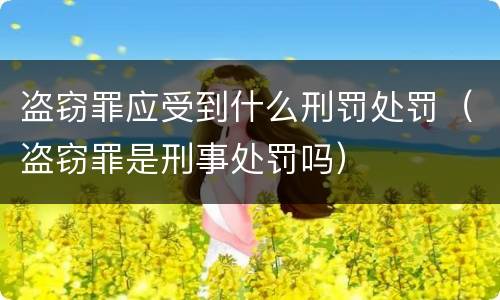 盗窃罪应受到什么刑罚处罚（盗窃罪是刑事处罚吗）