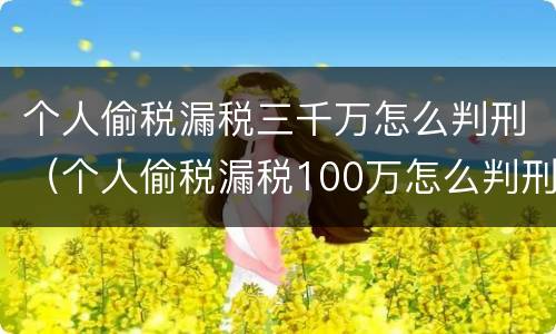 个人偷税漏税三千万怎么判刑（个人偷税漏税100万怎么判刑）