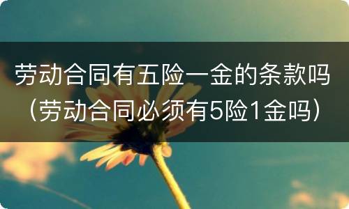 劳动合同有五险一金的条款吗（劳动合同必须有5险1金吗）