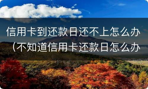信用卡到还款日还不上怎么办（不知道信用卡还款日怎么办）