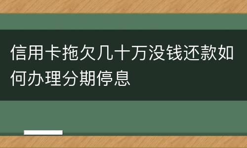 信用卡拖欠几十万没钱还款如何办理分期停息
