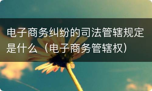 电子商务纠纷的司法管辖规定是什么（电子商务管辖权）