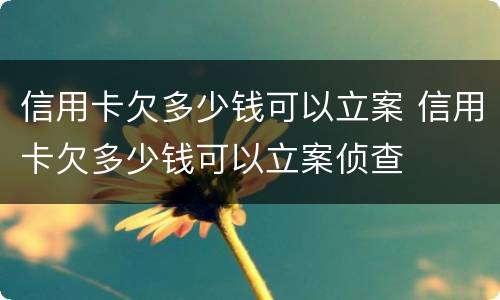 信用卡欠多少钱可以立案 信用卡欠多少钱可以立案侦查