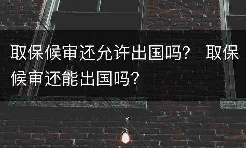 取保候审还允许出国吗？ 取保候审还能出国吗?