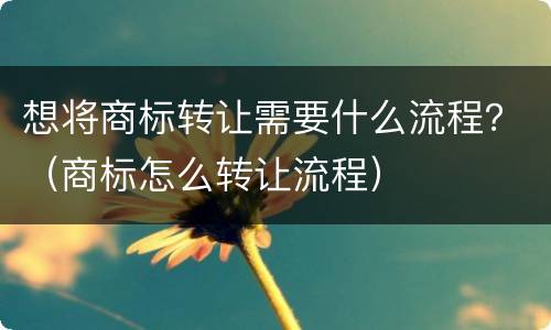想将商标转让需要什么流程？（商标怎么转让流程）