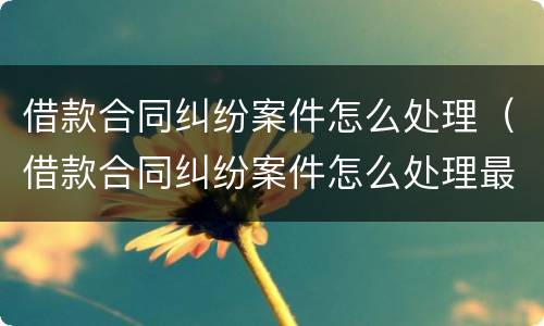 借款合同纠纷案件怎么处理（借款合同纠纷案件怎么处理最好）