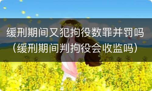 缓刑期间又犯拘役数罪并罚吗（缓刑期间判拘役会收监吗）