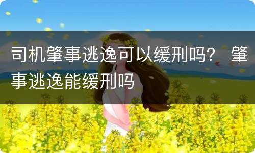 司机肇事逃逸可以缓刑吗？ 肇事逃逸能缓刑吗