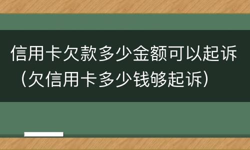信用卡欠款多少金额可以起诉（欠信用卡多少钱够起诉）